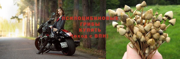 шишки Горнозаводск