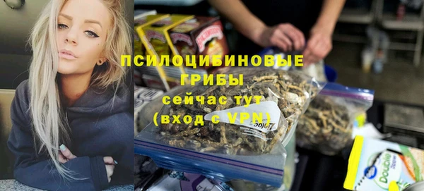 альфа пвп Горно-Алтайск