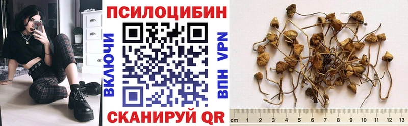 хочу   ОМГ ОМГ ТОР  Галлюциногенные грибы мицелий  Вышний Волочёк 